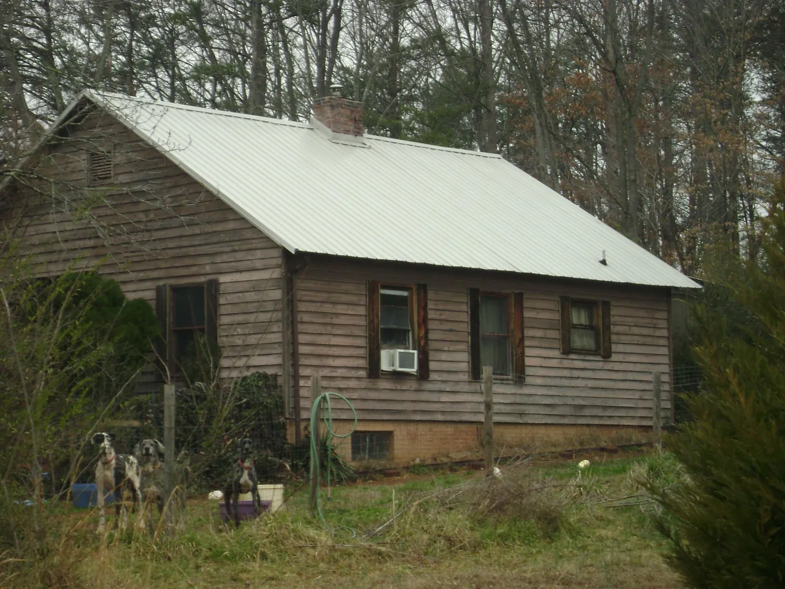 White metal roof on an old wood sided farmhouse, from a Metal Roof Installation job in Walsenburg